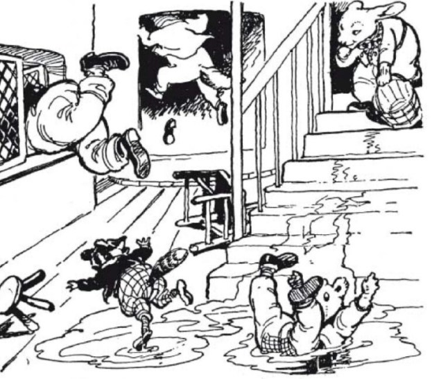 wp-1454107484378 image